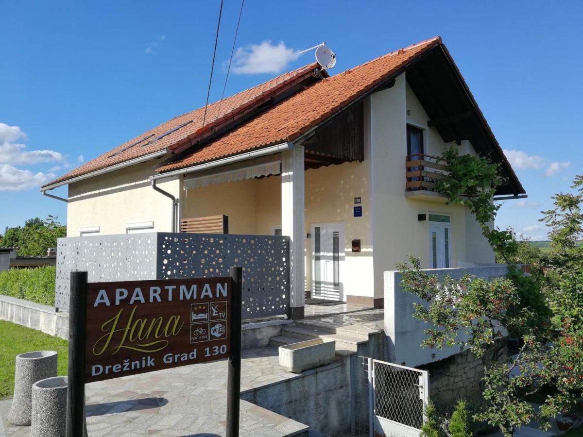 Apartman Hana Drežnik Grad Exterior foto