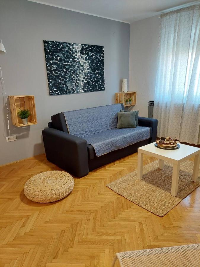 Apartman Hana Drežnik Grad Exterior foto