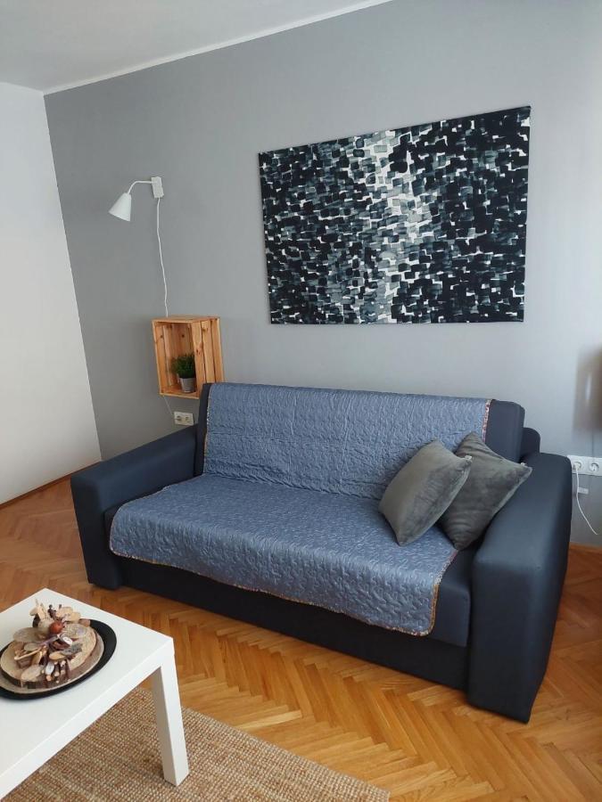 Apartman Hana Drežnik Grad Exterior foto