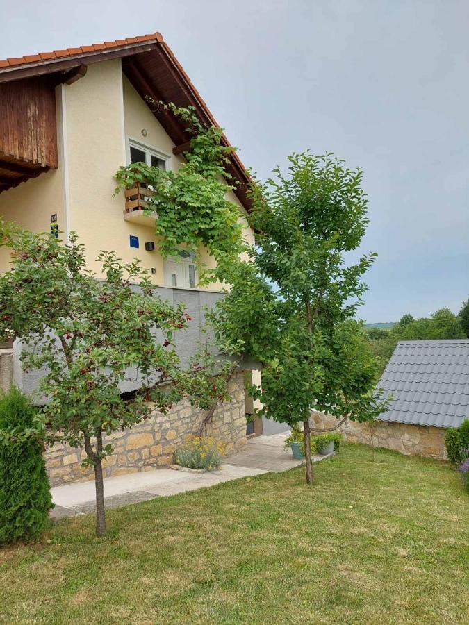 Apartman Hana Drežnik Grad Exterior foto