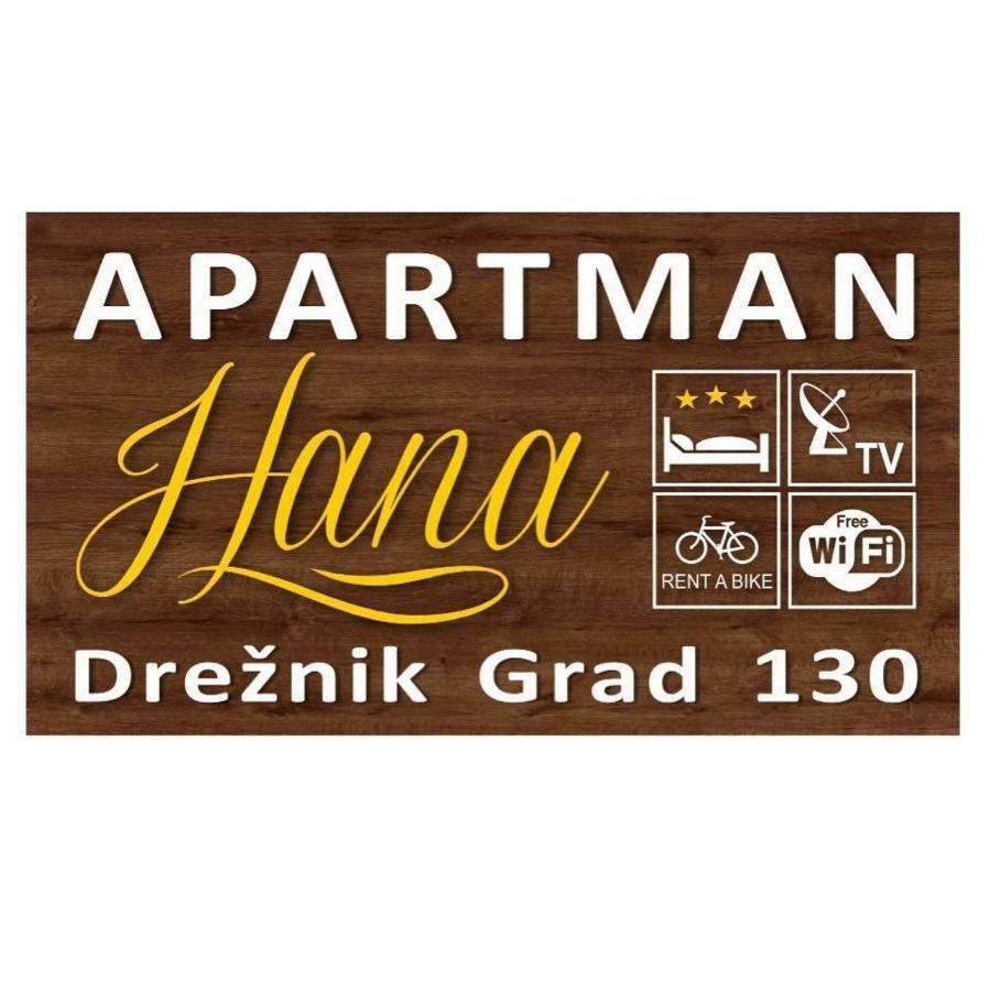 Apartman Hana Drežnik Grad Exterior foto